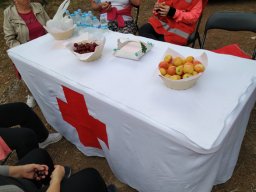 IMG_20190612_103049